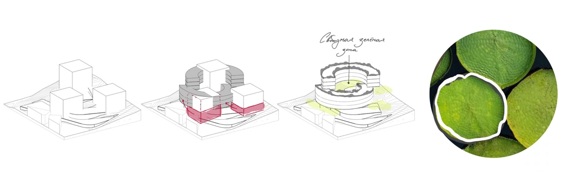 BAMBOO FOREST Version 02 